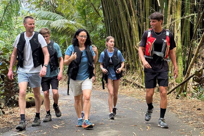 Half Day El Yunque Tour, Waterslide and Rope Swing - The rainforest hike: mud trails, uneven ground, and the gear you’re given