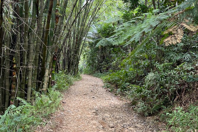 Half Day El Yunque Tour, Waterslide and Rope Swing - Weather rules and what happens if conditions aren’t safe