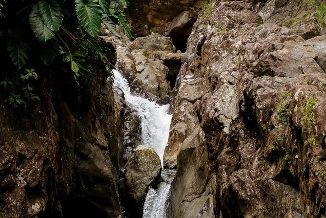 Half-Day El Yunque Waterslide Excursion （no Transportation) - The water pool zone: slides, rope swing, and cliff jumps