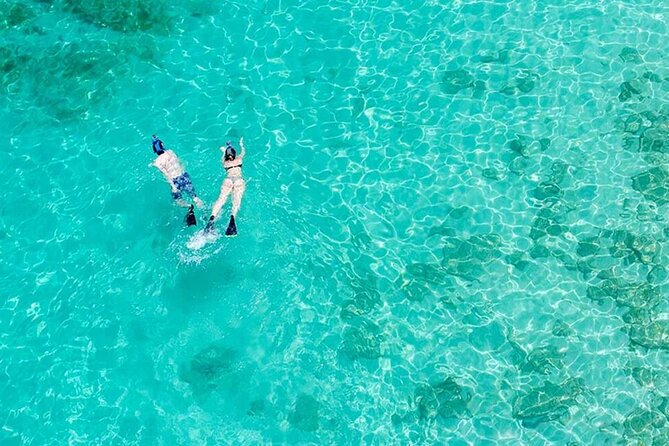 Half Day Icacos Island with Roundtrip Transport from San Juan - Key things to know before you go