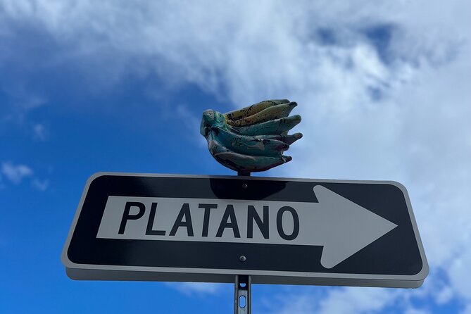 Half-Day: Old San Juan, Calle Cerra,Santurce, La Placita & Loíza - Should You Book This Half-Day Old San Juan, Santurce, Loíza Tour?