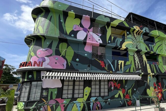 Half-Day: Old San Juan, Calle Cerra,Santurce, La Placita & Loíza - Calle Cerra and Santurce Murals: Street Art, La Placita, and Local Bites