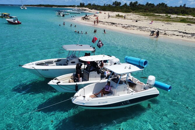 Half-Day Private Boat Experience – Appetizers & Drinks Included - Night Snorkeling in Fajardo: What You’ll Actually See After Dark
