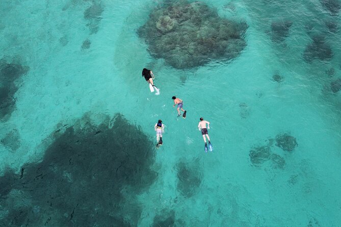 Half-Day Private Boat Experience – Appetizers & Drinks Included - The Snorkel Stops: Icacos, Palomino, or Piñero Islands