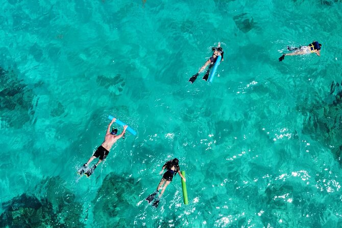 Half-Day Private Boat Experience – Appetizers & Drinks Included - Appetizers and Drinks Included: A Real Break, Not Just a Box Lunch