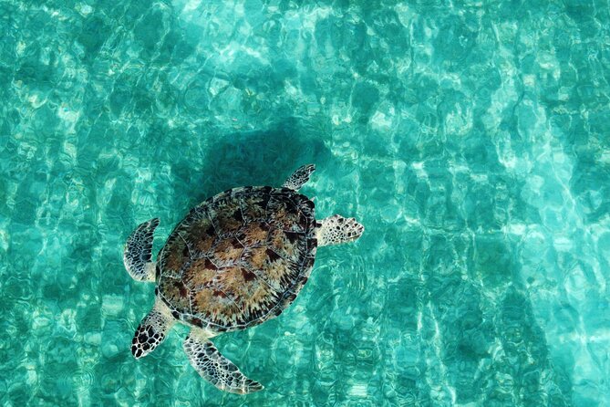 Half-Day Private Boat Experience – Appetizers & Drinks Included - 90 Minutes in the Water with a Guide: Comfort for Beginners, Not a Trial by Fire