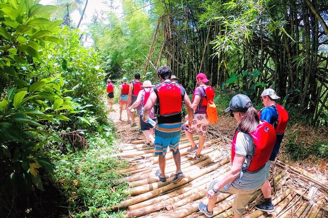 Half-Day: Rainforest and Waterslide Adventure with Transportation - Price and Value: What $105 Really Buys You