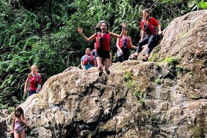 Half-Day: Rainforest and Waterslide Adventure with Transportation - What to Pack and How to Prepare for a Rainforest Water Day