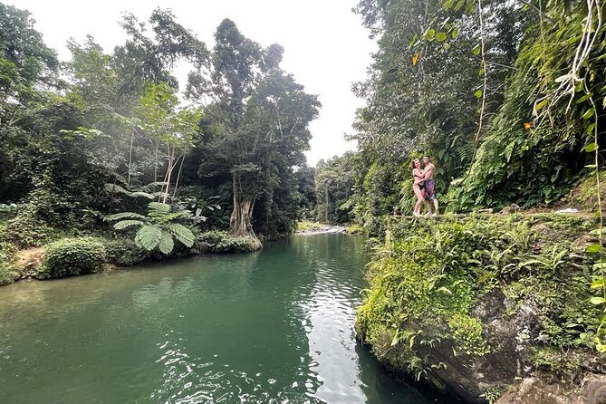 Half-Day Rainforest Tour with Transport from San Juan - Key Things I’d Watch For Before You Go