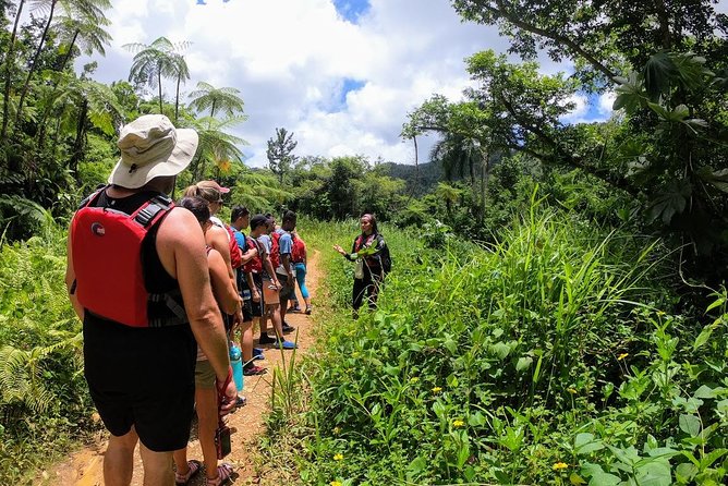 Half-Day Tour: El Yunque Rainforest and Waterslide Adventure - Key Things You’ll Notice Right Away