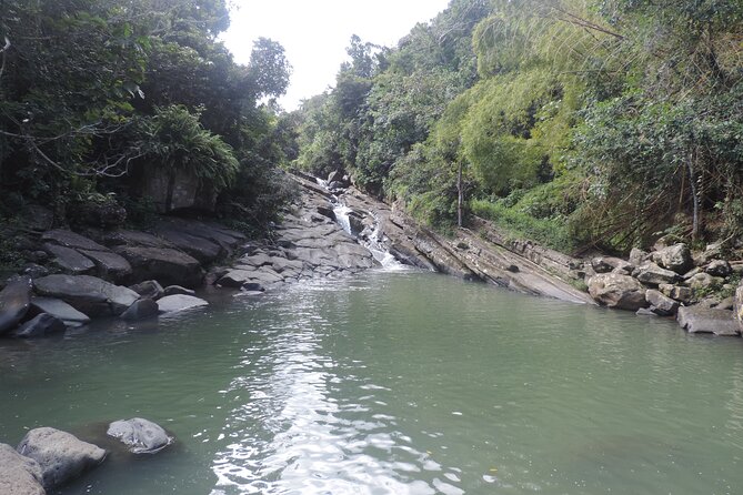 Half-Day Tour: El Yunque, Waterslides, and Luquillo Beach - What You Actually Get Included (and Why It’s Worth Paying For)