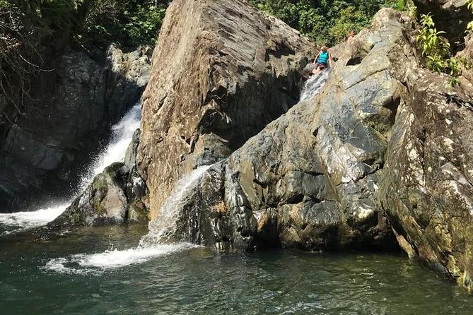 Half-Day Yunque Rainforest Waterslide & rope swing Guided Tour - Key Highlights You’ll Feel Immediately