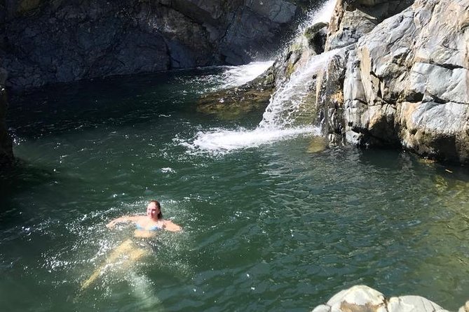 Half-Day Yunque Rainforest Waterslide & rope swing Guided Tour - What the Guides Actually Add (Beyond “They Know Stuff”)