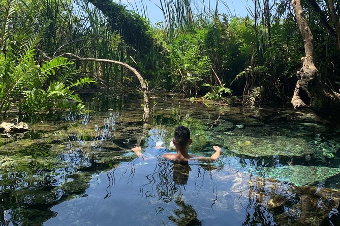 Hidden Gems of the North, Puerto Rico Private Tour - Key Things To Know Before You Go