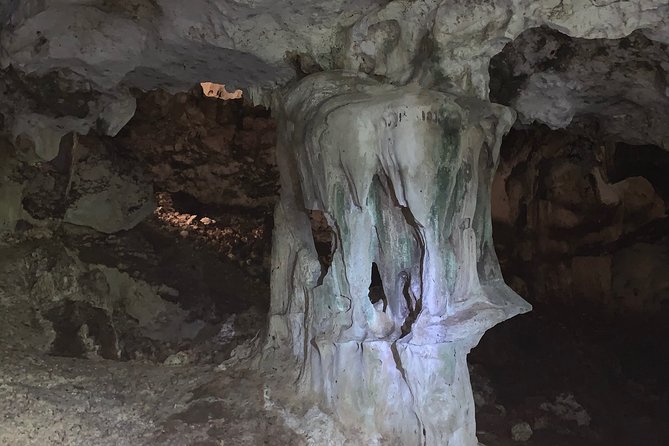 Hidden Gems of the North, Puerto Rico Private Tour - A Private Half-Day North Coast Route That Doesn’t Waste Your Time