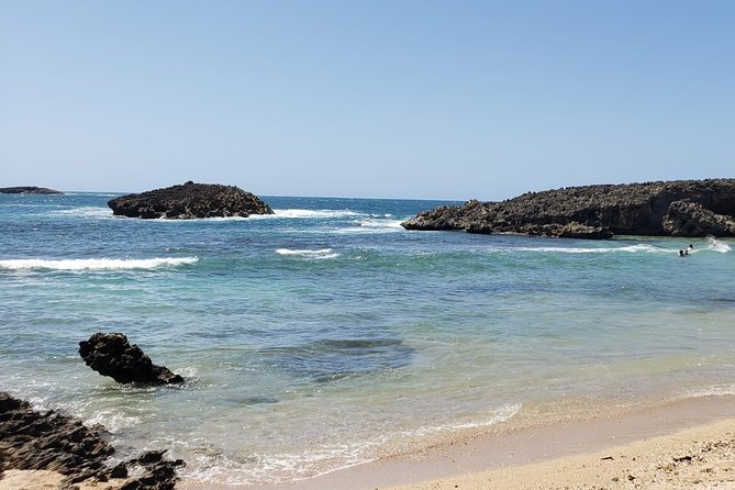 Hidden Gems of the North, Puerto Rico Private Tour - The Cave Finish: Another Natural Cave With Live Things to See