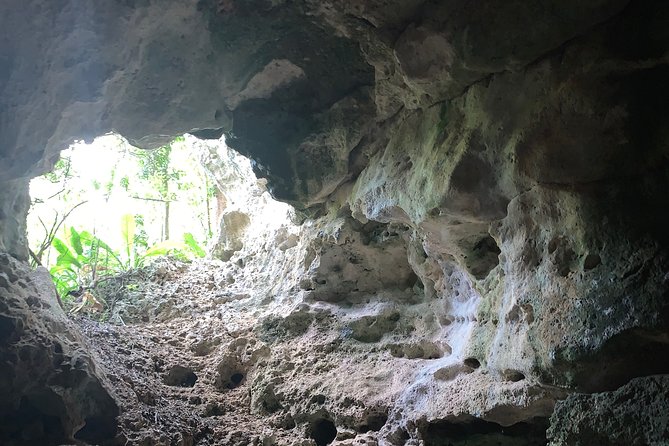 Hidden Gems of the North, Puerto Rico Private Tour - Where the Day Starts: Manati Pickup Feel in the San Juan Meeting Point