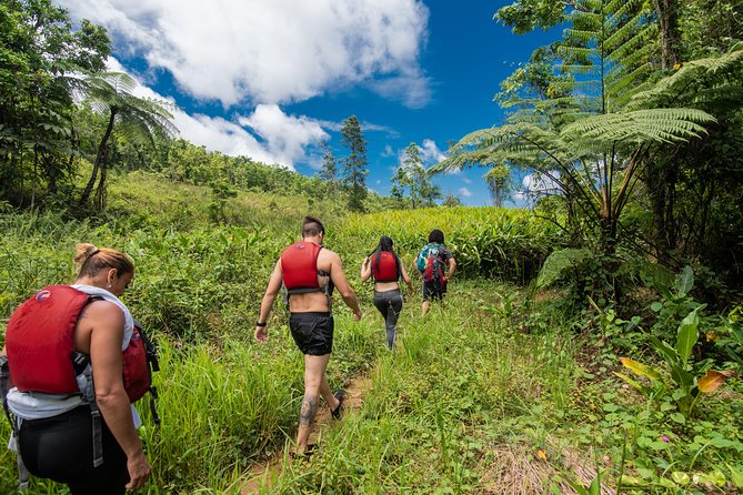 Hike El Yunque Rainforest and Kayak Bio Bay Combo Tour - Key Things You’ll Want to Know Before You Go