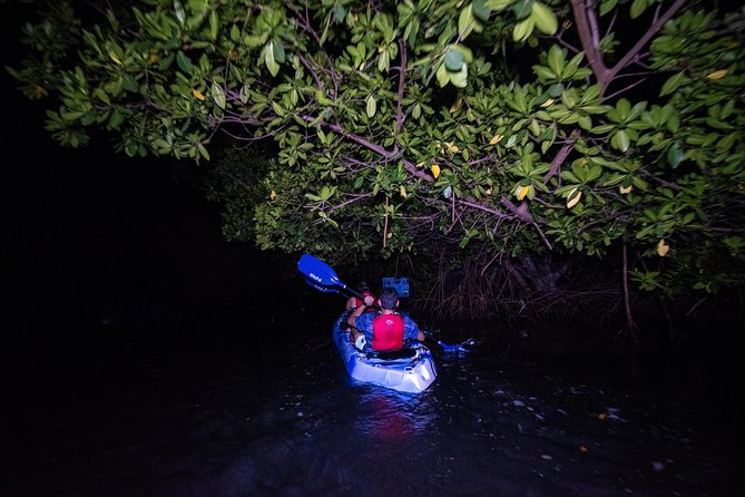 Hike El Yunque Rainforest and Kayak Bio Bay Combo Tour - Why This Combo Works: El Yunque Rainforest + Laguna Grande at Night