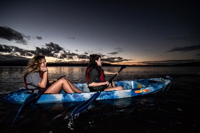 Hike El Yunque Rainforest and Kayak Bio Bay Combo Tour - Water-Play Reality Check: Cliff Jumps, Waterslides, and Getting Wet on Purpose