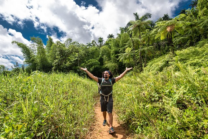 Hike El Yunque Rainforest and Kayak Bio Bay Combo Tour - Kayaking Skills and Safety: Lifejackets, Helmets, and the Dark-Adaptation Factor