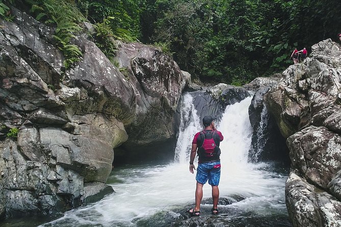 Hike El Yunque Rainforest and Kayak Bio Bay Combo Tour - Getting There from San Juan: Pickup Timing and the Real 12-Hour Rhythm