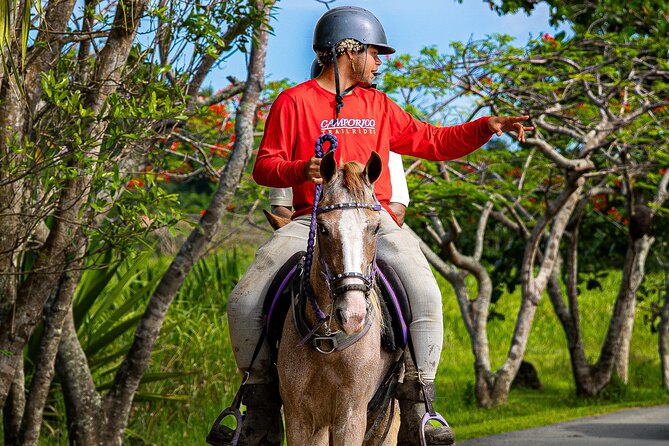 Horseback Riding Tour at Private Ranch - Paso Fino Trails From a Private Ranch Near San Juan