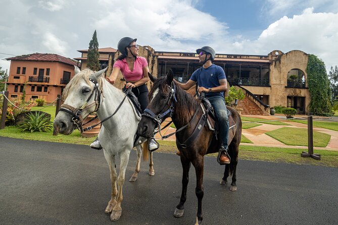 Horseback Riding Tour at Private Ranch - On-Trail Adventure for About Two Hours: Views, Wildlife, and Horse Lore