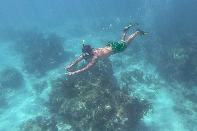 Icacos Deserted Island Catamaran, Snorkel, and Picnic Cruise - Snorkeling at Icacos: why it’s fun, and why visibility can change