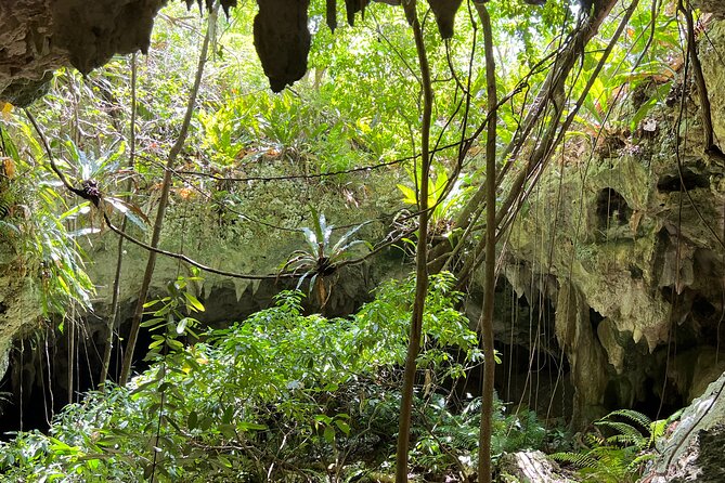 Indian Cave & Water Spring Adventure - The water spring stop: a calmer beat after the cave