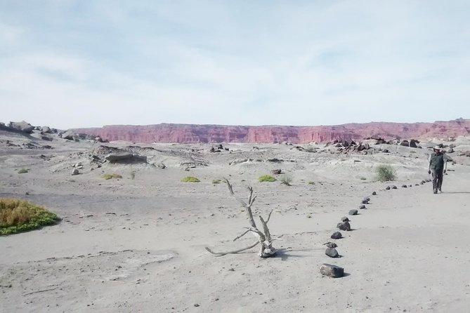 Ischigualasto National Park - Moon Valley - Parque Provincial Ischigualasto: Your Best 4 Hours for Photos and Viewpoints