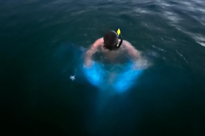 La Parguera Bio Bay Boat Ride and Swimming w/ San Juan Transport - San Juan to La Parguera: How the Day Actually Flows