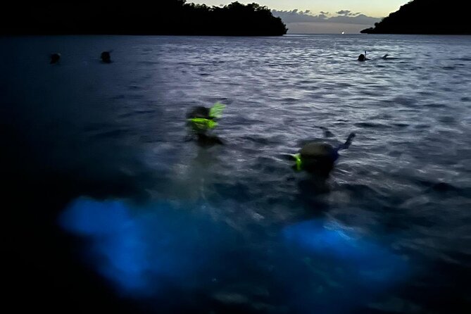 La Parguera Bio Bay Boat Ride and Swimming w/ San Juan Transport - The Biobay Swim: Getting Glimmer With 20 Minutes