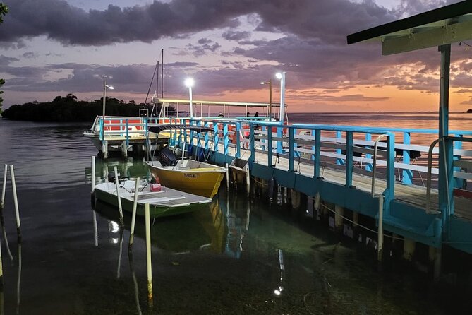 La Parguera Bio Bay Boat Ride and Swimming w/ San Juan Transport - Guides and the Small-Group Advantage (14 Seats Max)