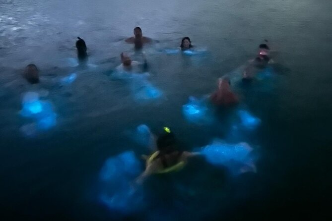 La Parguera Bio Bay Boat Ride and Swimming w/ San Juan Transport - Weather, Moon Phase, and Why You Should Plan for the Dark