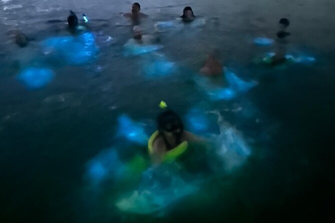 La Parguera Bio Bay Boat Ride and Swimming w/ San Juan Transport - What’s Included in the Price (and What You’ll Pay For)