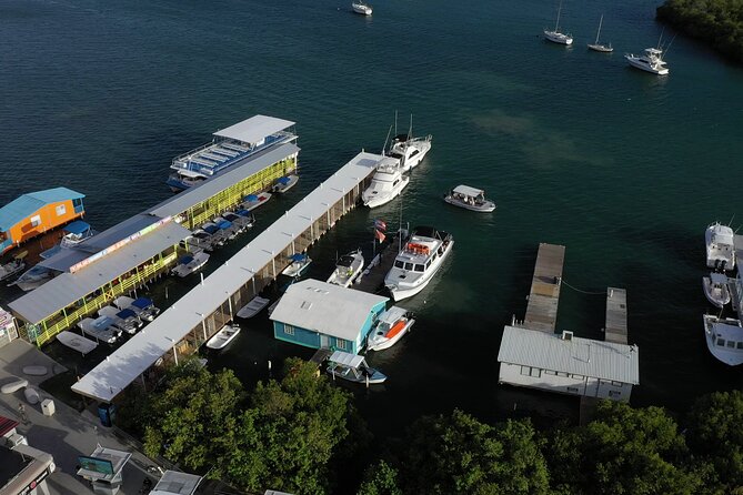 La Parguera Glowing Bioluminescent Bay Boat Tour from San Juan - Price and logistics: what $220 really buys you