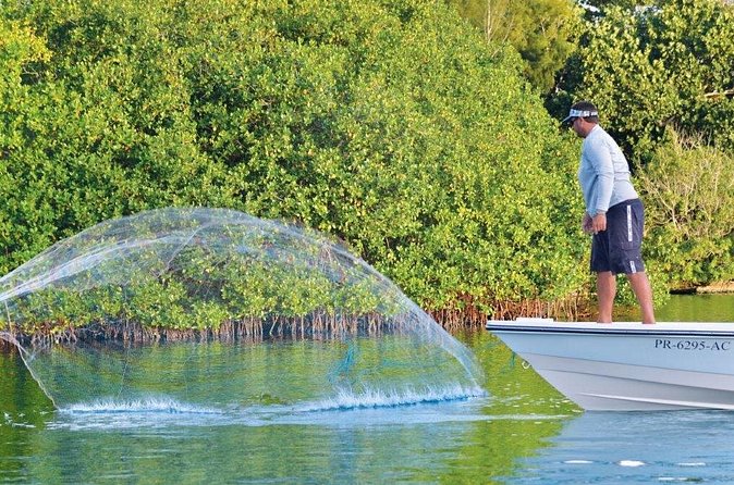 Light Tackle Tarpon Fishing - Wildlife, mangroves, and why the wait is still part of the payoff