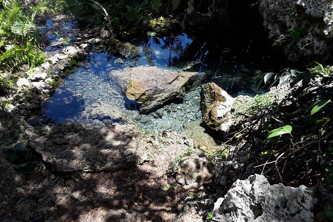 Mountain Bike tour to a Pristine Spring and Cave - Stop 1: Vega Baja and the Rhythm of a Private Nature Ride