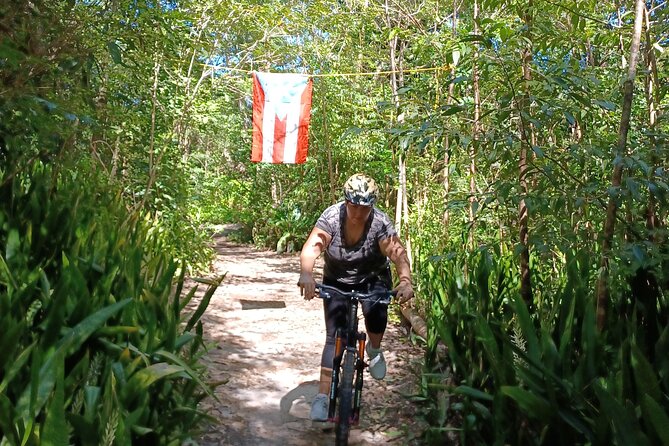 Mountain Bike tour to a Pristine Spring and Cave - Wildlife Spotting and Plant Talk You Can Actually Use
