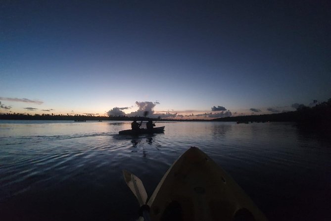 Night Kayaking Experience on Bioluminescent Lagoon in Fajardo - Key Points at a Glance