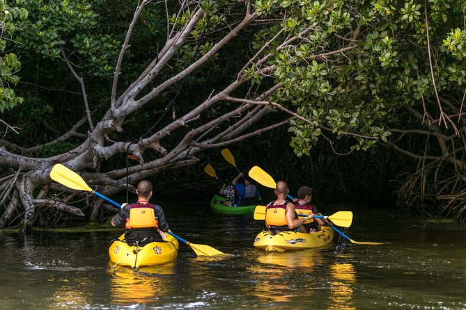 Night Kayaking Experience on Bioluminescent Lagoon in Fajardo - Kayaking 101 and Safety: How They Set Beginners Up Fast