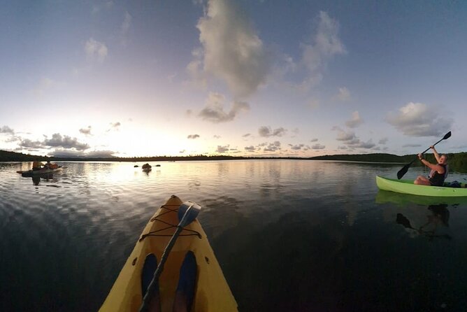 Night Kayaking Experience on Bioluminescent Lagoon in Fajardo - Mangrove Channels and Partner Paddling in Two-Person Kayaks