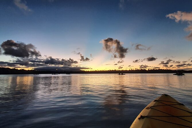 Night Kayaking Experience on Bioluminescent Lagoon in Fajardo - Bioluminescent Magic: How to Get the Best Glow (and the Realistic Expectation)