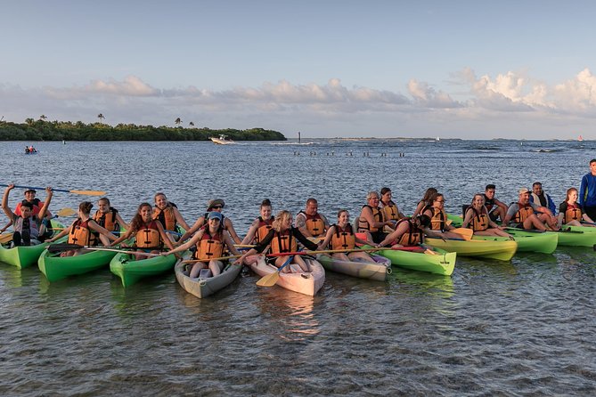 Night Kayaking Experience on Bioluminescent Lagoon in Fajardo - Price and Value: Is $79 Worth It?