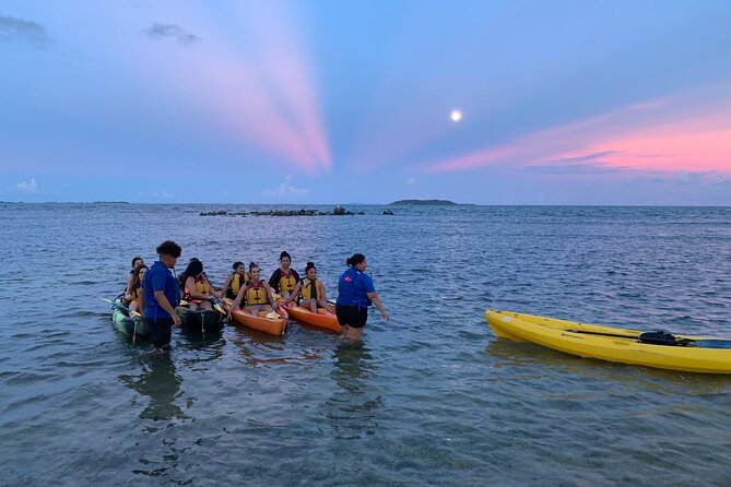 Night Kayaking Experience on Bioluminescent Lagoon in Fajardo - What to Bring and How to Avoid Common Night Kayak Headaches