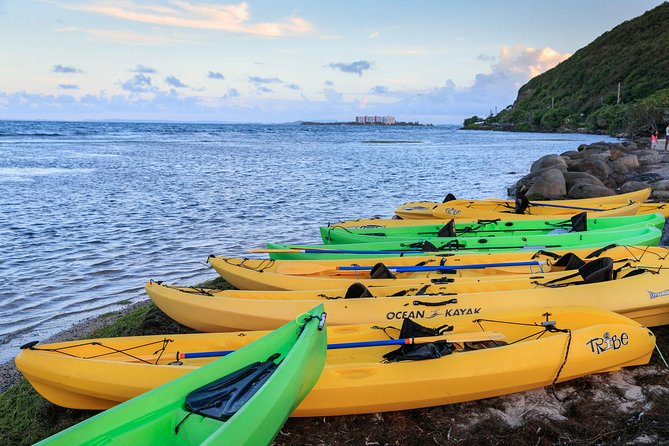 Night Kayaking Experience on Bioluminescent Lagoon in Fajardo - The 6:00 pm Flow: From Carretera Cabezas de San Juan to the Water