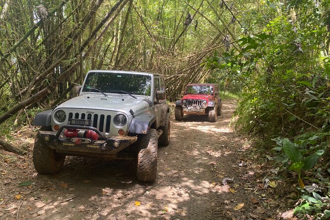 Off-Road Jeep Adventure from Carolina - Key Things That Make This Jeep Day Special