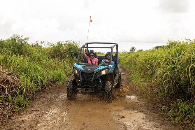 Off-Road UTV Tour : Explore Puerto Rico minutes from San Juan - The ride itself: karst terrain, wetlands, and lagoon views