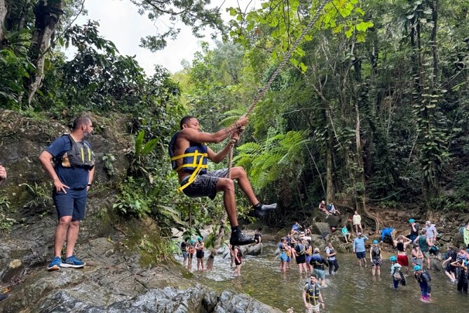 "Off the beaten path" Rain Forest Guided hike with Transportation - Key points to know before you go